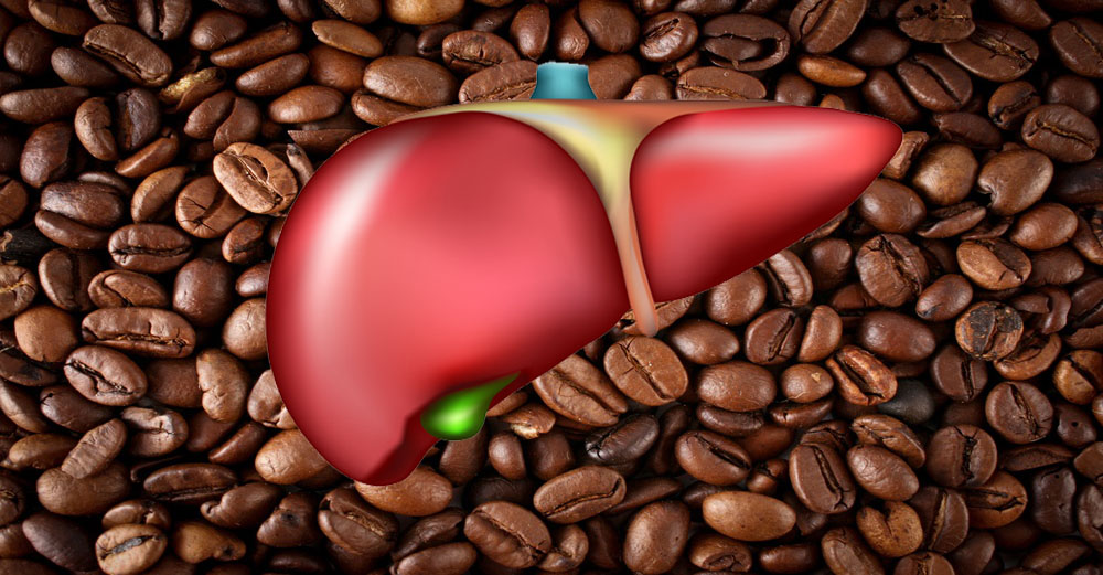 Caffeine And Liver Damage