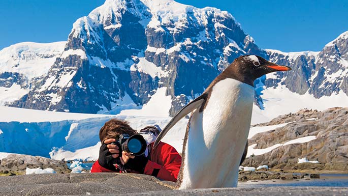 Are You An Artist Or Writer Who Wants To Live In Antarctica 