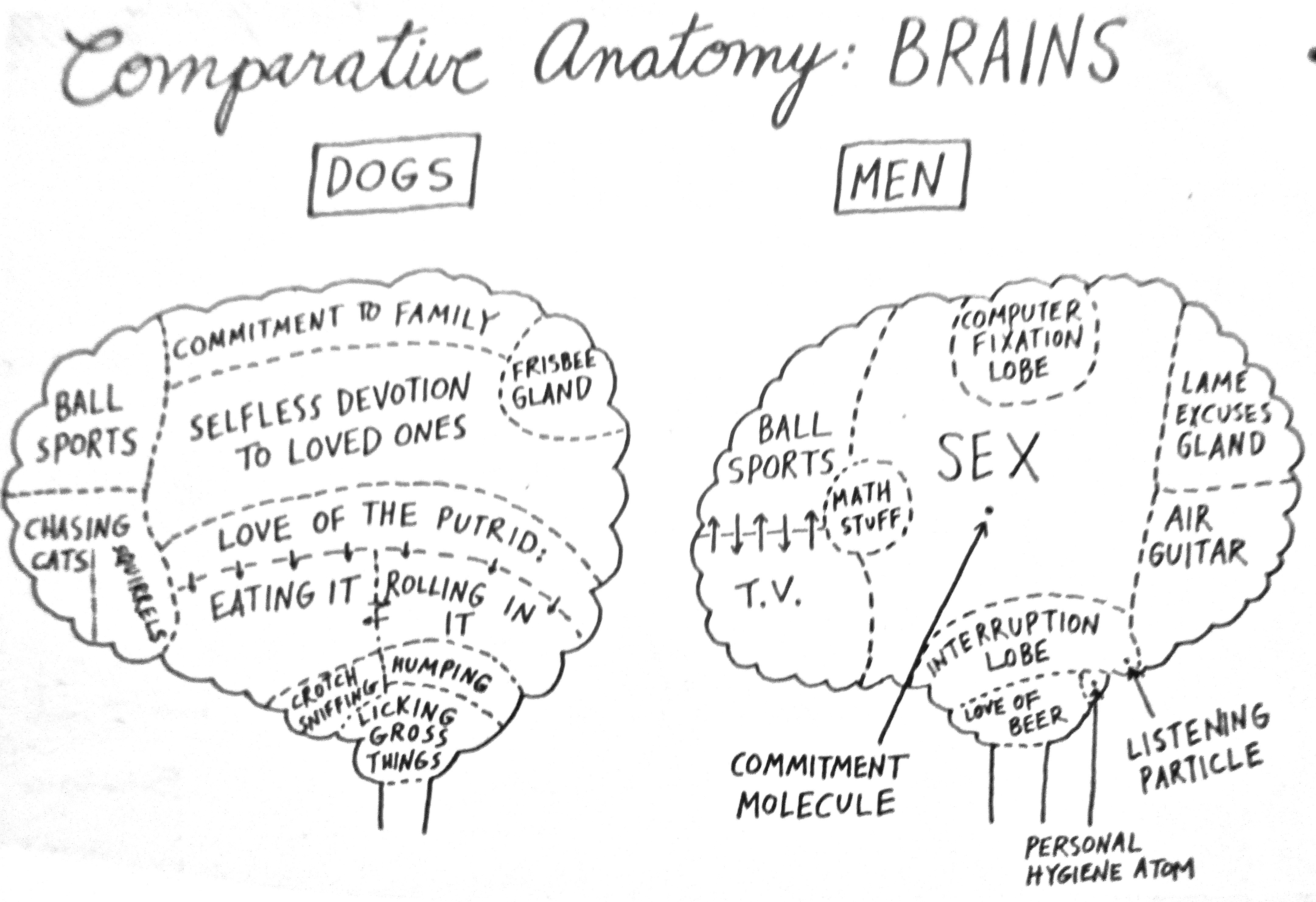 Cartoon - Comparing Men To Dogs - Antarctica Journal