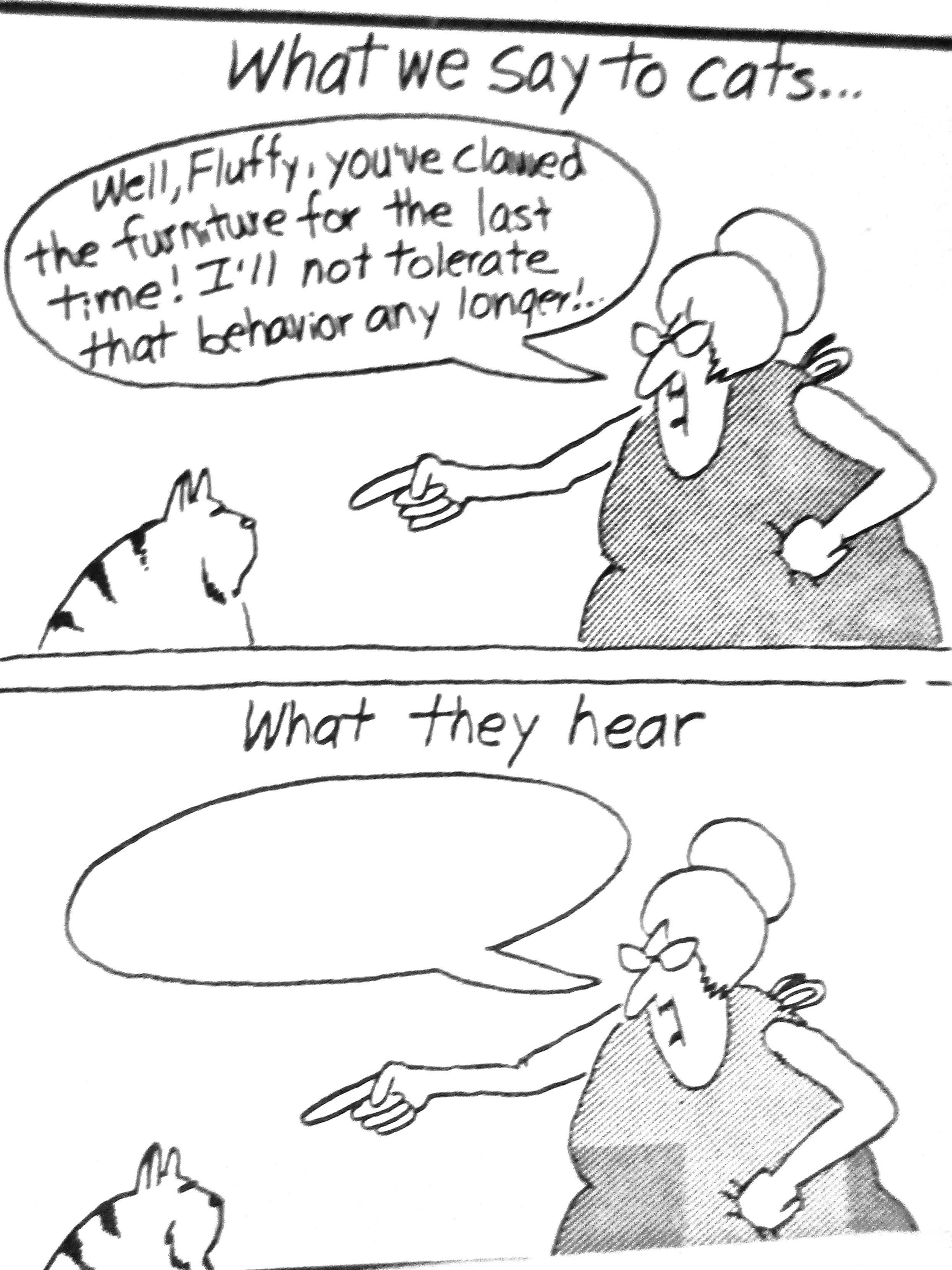 cartoon-what-a-cat-hears-antarctica-journal