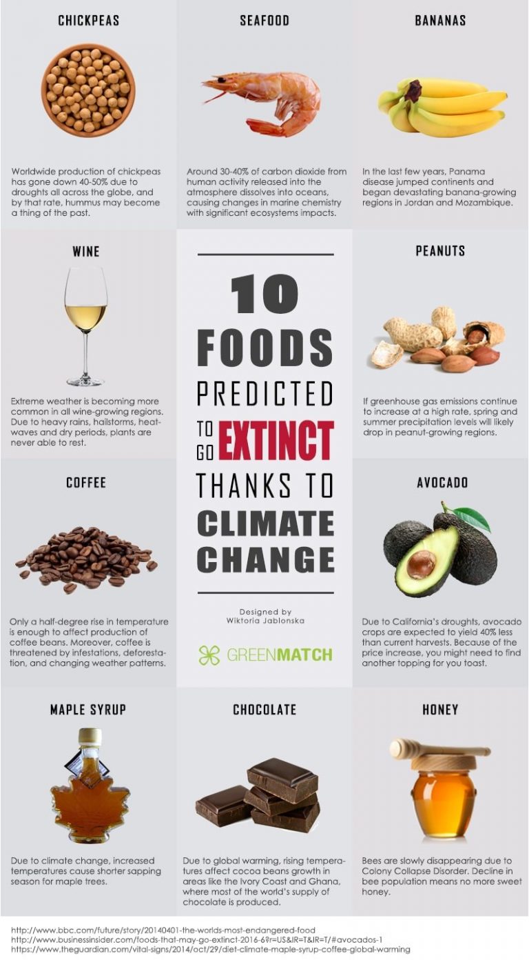 10 Foods Predicted To Go Extinct - Antarctica Journal