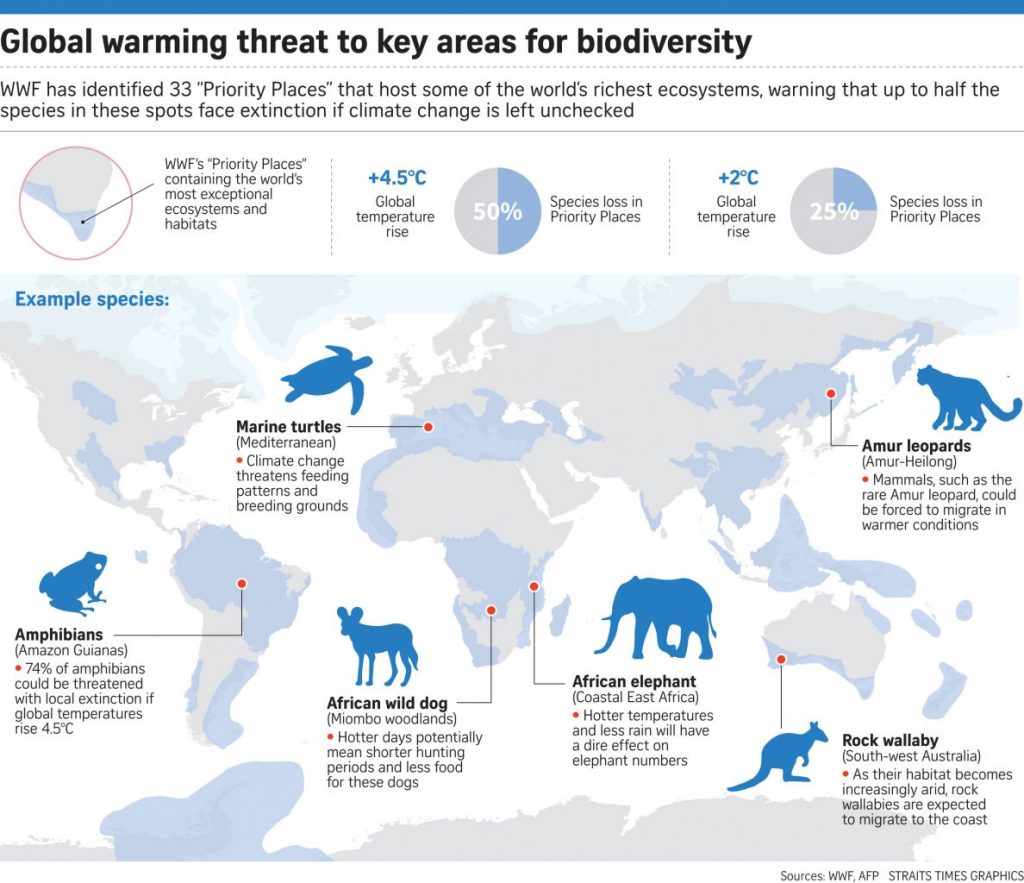 Climate Change – Extinction on the Rise - Antarctica Journal